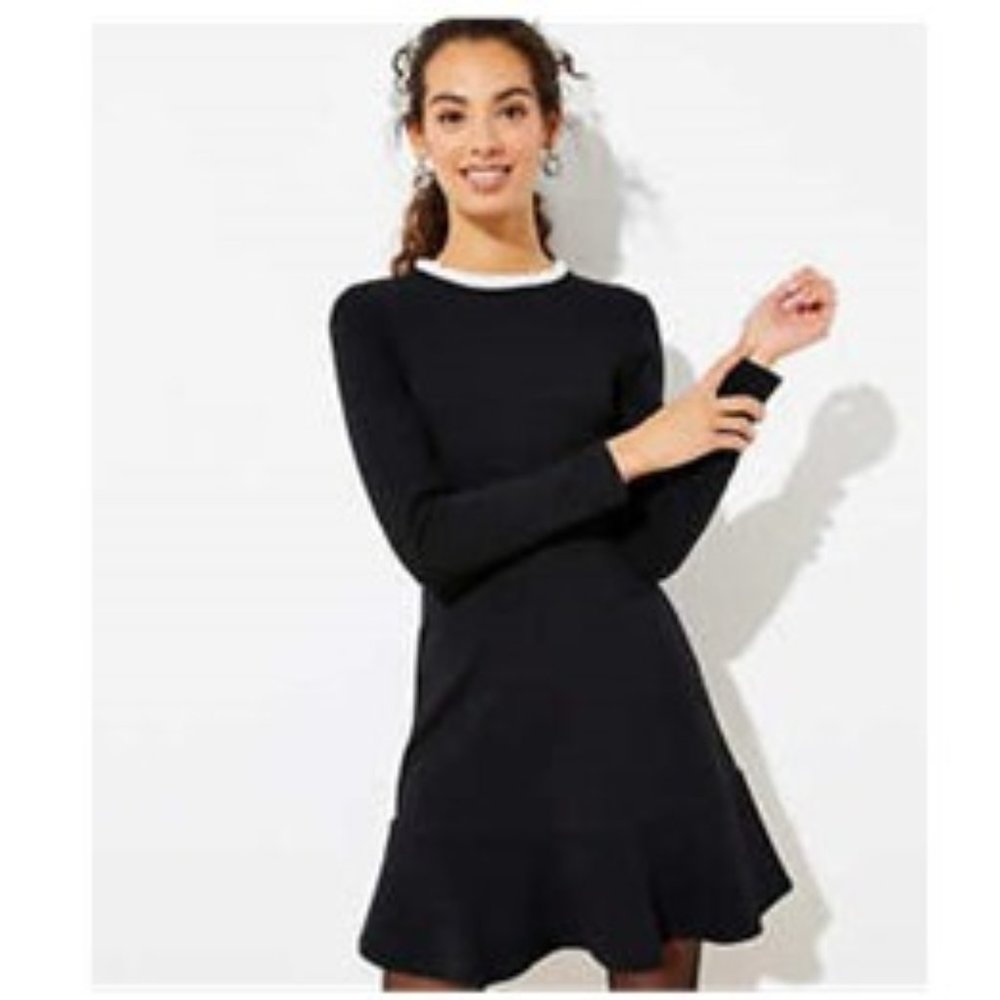 LOFT Ruffle Flare Dress (16)